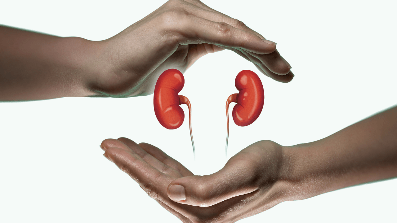 Liver & Kidney Detoxification